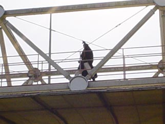 07.jpg
